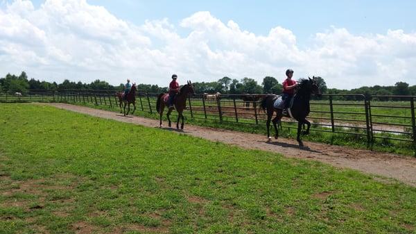 What a beautiful day for a ride!