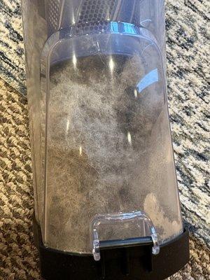 The vacuum dust cup after "we" vacuumed the floor.