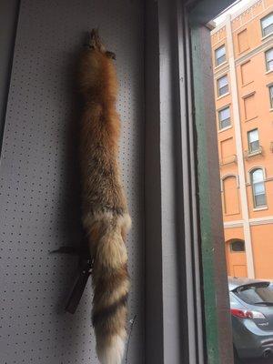 One of the many furs hanging around the Man Cave Barbershop.