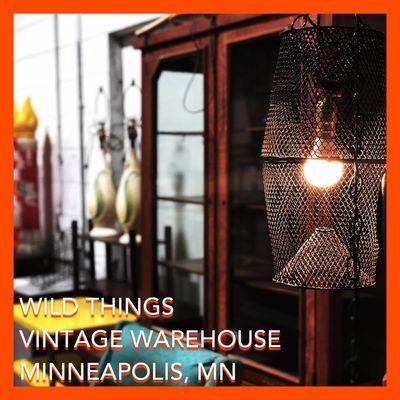 Wild Things Antiques