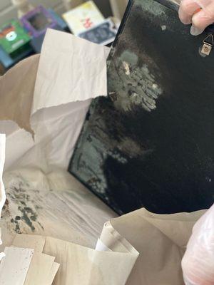 Absolutely disgusting mouldy state our belongings arrived in, after being extorted in an extra $1500 "storage fee"