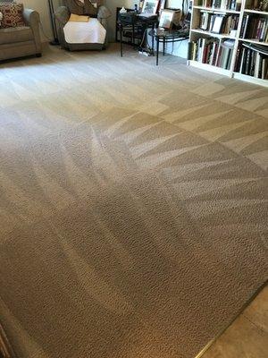 A living room carpet after the cleaning process was completed.