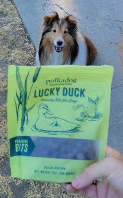 Izzie with her favorite treats from Carmel Dog Shop.