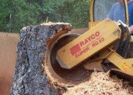 Stump Grinding and Removal