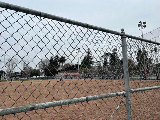 Softball Saturday