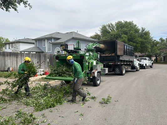 Liberty Tree Service