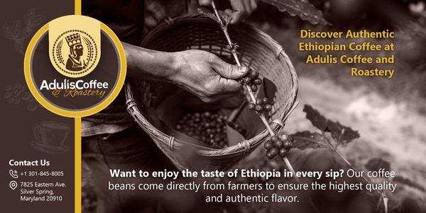 Want to enjoy the taste of Ethiopia in every sip? Our coffee beans come directly from farmers to ensure the highest quality and authentic !!