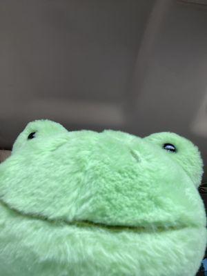 Froggo