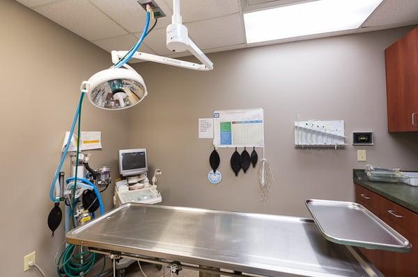 Inside our sterile surgery suite