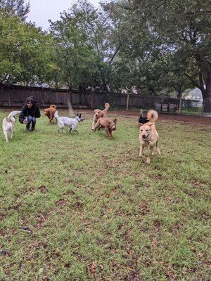 Daycare FUN in our Event Field