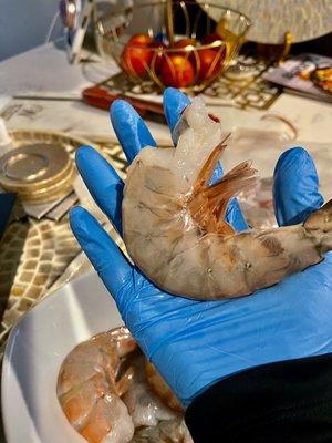 colossal Shrimp