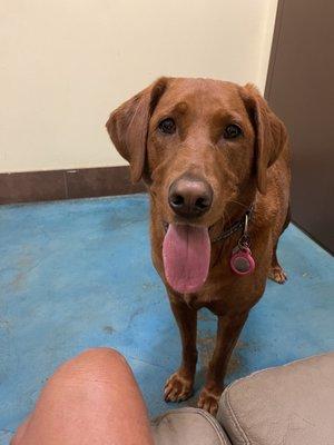 Ellie in the exam room.