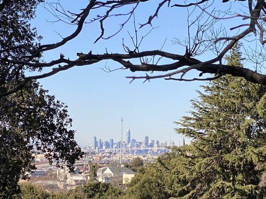 View of San Fransisco from the top of the park.