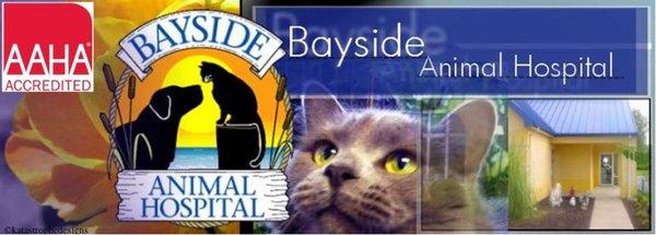 Bayside Animal Hospital