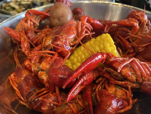 Yummy Seafood & Oyster Bar