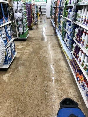 Dollar Tree concrete floor scrap/scrub/mop service