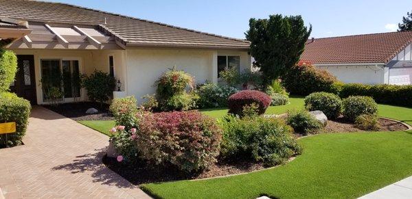 We love looking at all the green and the wonderful contrasting colors of our plants surrounded by natural looking turf.