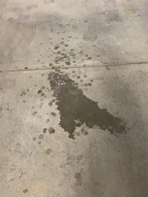 Oil in my garage