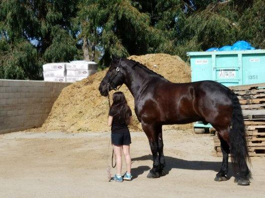 They call him Charlie. I call him GIANT.