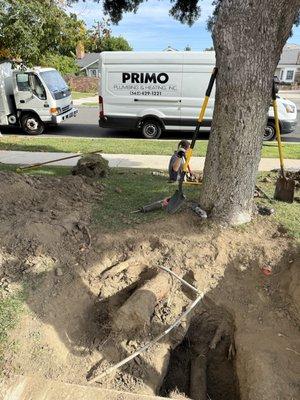 Primo Plumbing & Heating Inc