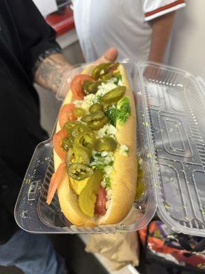 chicago dog