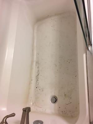 The bathtub after the cleaning crew had left.