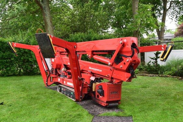 Tree Health's spider lift allows easy access to prune and remove backyard trees