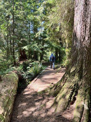 Cullaby Lake County Park loop trail