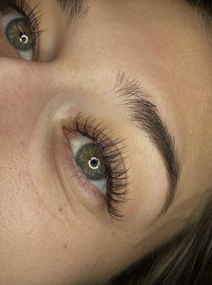 Classic Lashes