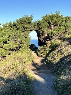 Port Orford Heads State Park