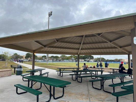 Baseball courts