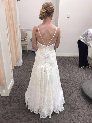 Full picture with the bustle