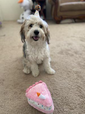 Three Dog Bakery