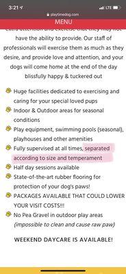 Playtime doggy daycare website.