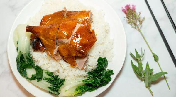 Roast duck over rice