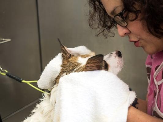 Melinda and Pixel having a sweet moment during Pixels grooming session