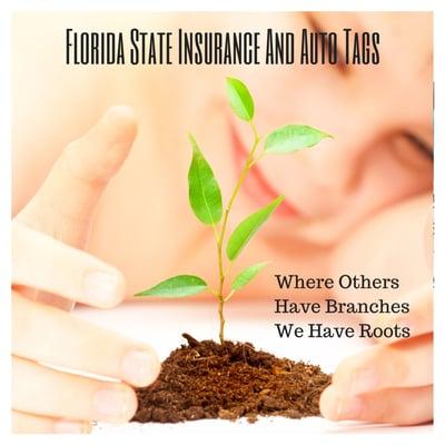 Florida State Insurance and Auto Tags