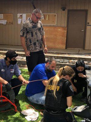 Service Tech locates puppy in pipe with pipeline camera