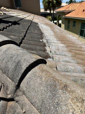 Watch the dirt and grime melt away on this soft wash roof cleaning!