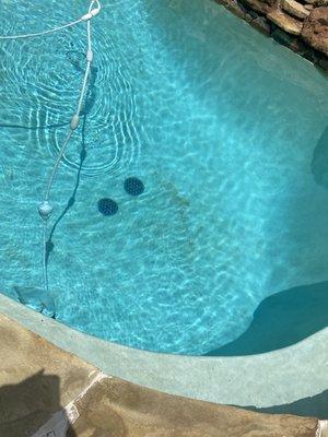 Bottom of the pool dirty, after they "vacuumed"