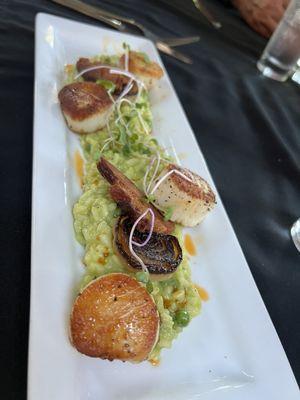 Scallops