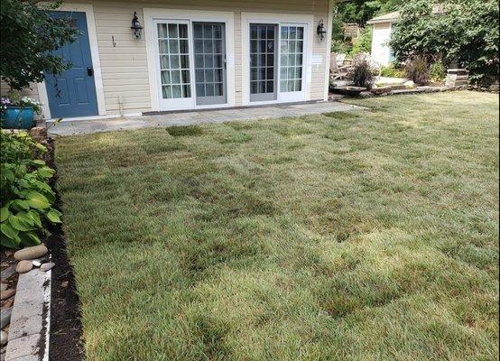 Finished product after laying sod. 
Pool removal