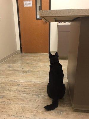 Lucy excitedly waiting to see her favorite Doctor, Dr. Paulson!