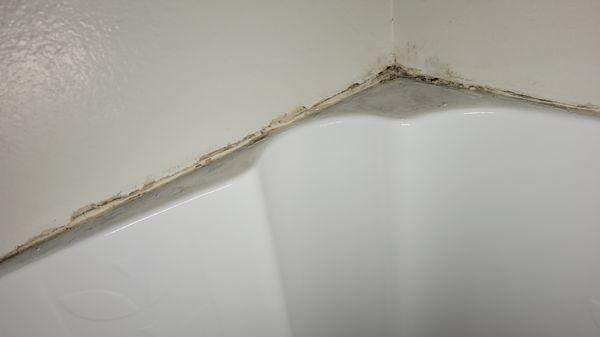 THE MOLD IS FROM THE 1ST CLOWNS THAT USED PAINTERS CAULK TO SEAL THE SHOWER 3 YEARS AGO