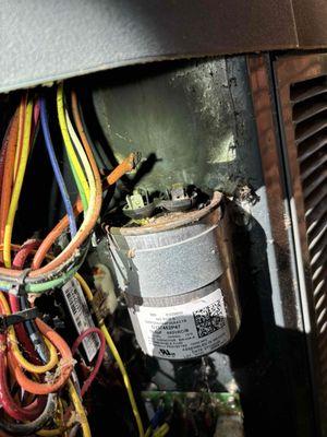 These are the wires that burned.   My regular HVAC tech told me if would be $5,000 to repair or $11,000 to replace.