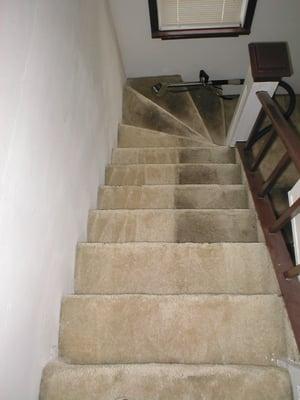 Stairs Cleaning