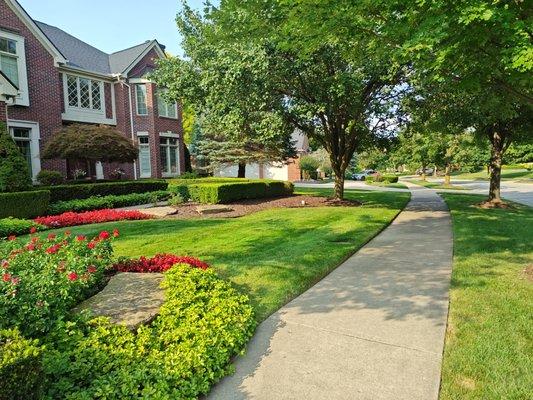 Fresh cut lawn