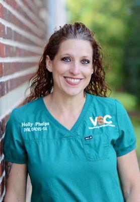 Dr. Holly Phelps, DVM, DACVS-SA