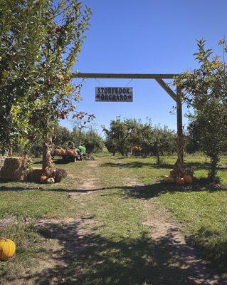 Entrance into the orchard