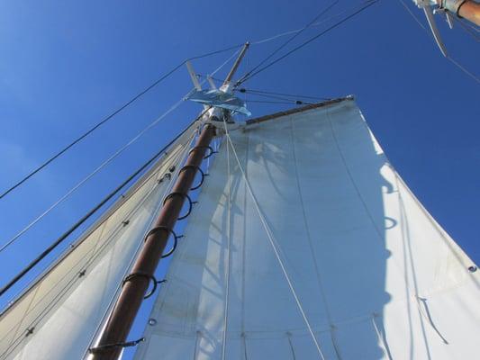 Under sail